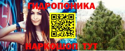 соль ск Ноябрьск