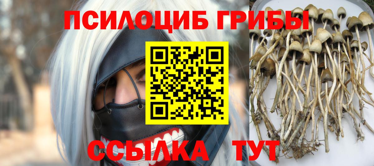 Великий Новгород  Галлюциногенные грибы Magic Shrooms  Вход с VPN 